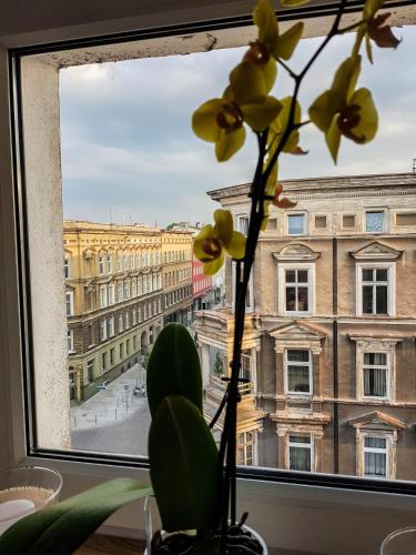 Luksusowe Apartamenty w Centrum Szczecina