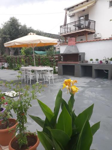  Filoxenia Apartments in Skala Sotiros