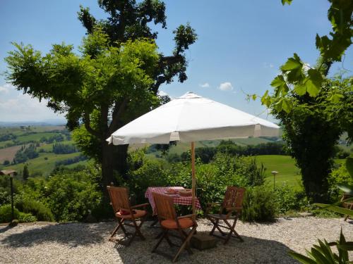 Dārzs, Ferienhaus "Casa Oleandro" in Fratte Rosa, Italien in Fratte Rosa