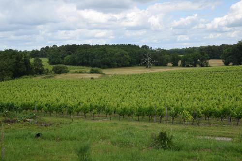 Apkārtne, Chez Claude et Aline in Puynormand