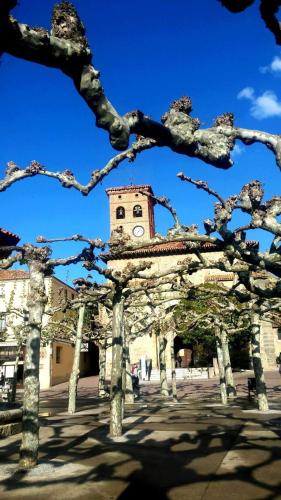 Pension Toñi