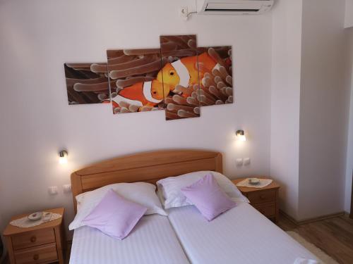 Apartments Bošković - main image