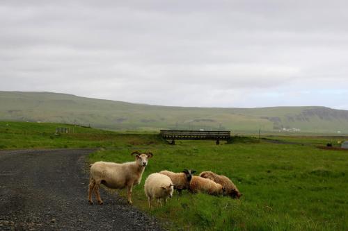 Adventure Hotel Geirland