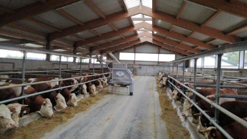 兹塔斯巴瓦农家乐 兹塔斯巴瓦农家乐