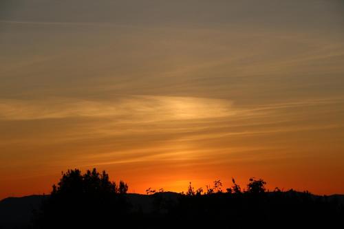 Hostel Casa do Pinheiro in Lagares da Beira