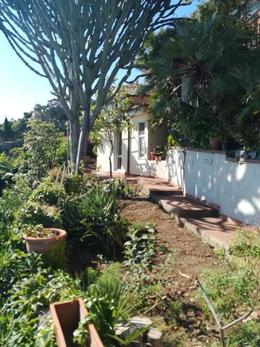 The pergola by the sea