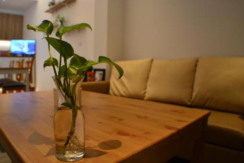 Foresweet B&B