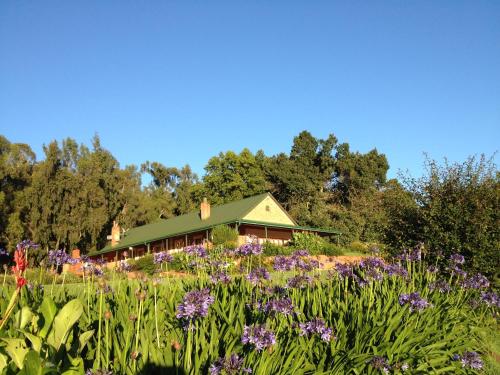 Tillietudlem Nature Reserve – khách sạn tại Howick
