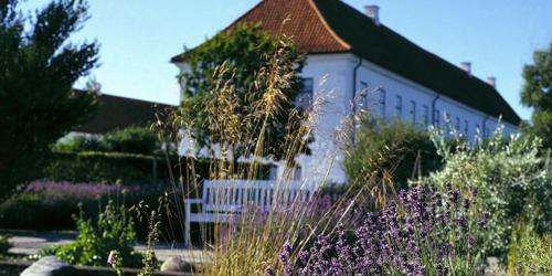 Danhostel Vitskøl Kloster