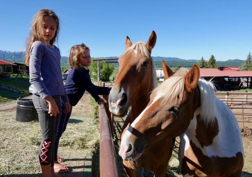 Buffalo Valley Ranch - image 3