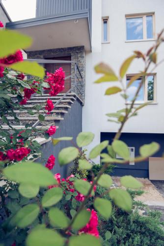 Apartment VIP Duplex II - image 5