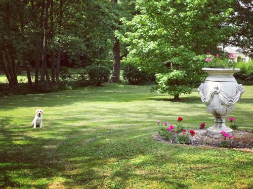 Chambre d'hôte Manoir de Clairbois – Larçay, TN