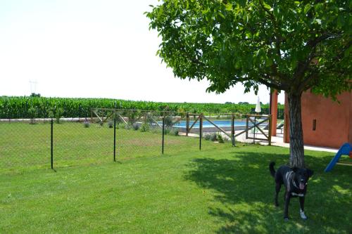 Agriturismo Corte Reginella