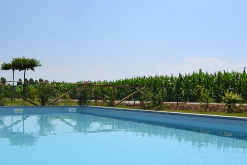 Agriturismo Corte Reginella