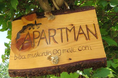  Apartman Biba, Unterkunft in Lubenice