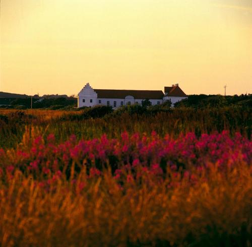 Danhostel Vitskøl Kloster