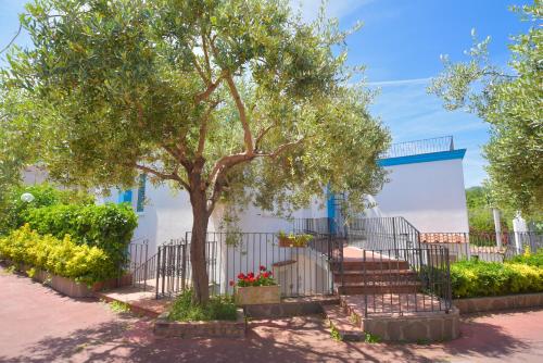  Casa della Luna, Pension in Ischia