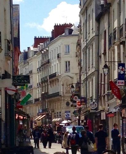 Mon Petit Studio Sous les Toits - Location saisonnière - Nantes