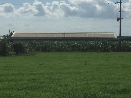 Exterior view, Shimaotoya in Taketomi