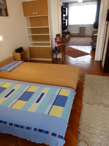 Óbuda Apartments, Budapest (photo 8)