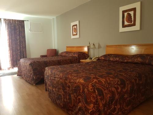 Double Room with Two Double Beds