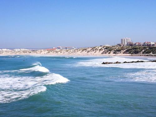 Peniche's Blue & Yellow - image 7