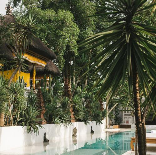 The Eco Gypsy House