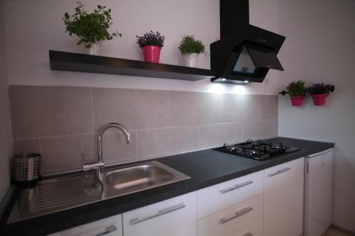Apartments Hedona - image 12