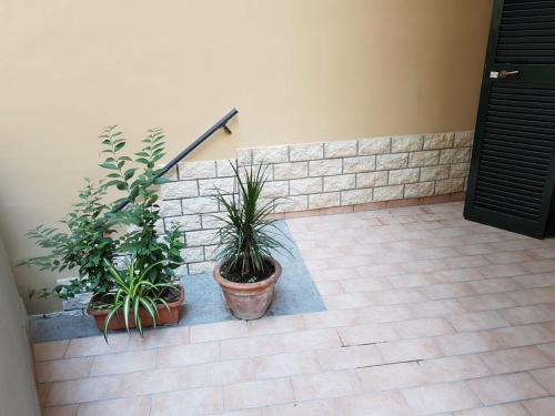 Vincent's home, Neapel (Foto 5)