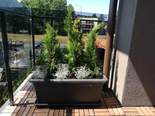 Mar Baltico Palanga Apartment