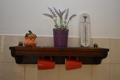 Apartment Morena - image 4