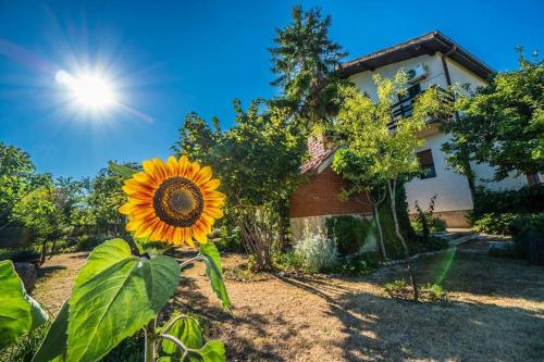  Rural Apartment Knin in Knin
