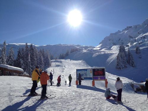  Haus Primula Pizol in Wangs