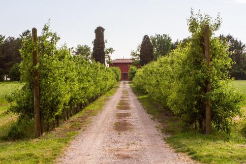  La Centuria Società Agricola Casa Vacanze in Terzo dʼ Aquiléia
