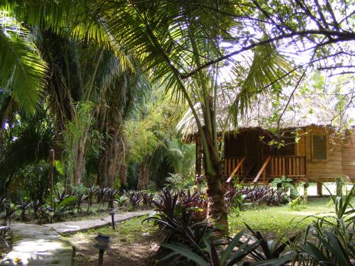 Cohune Palms River Cabanas San Ignacio