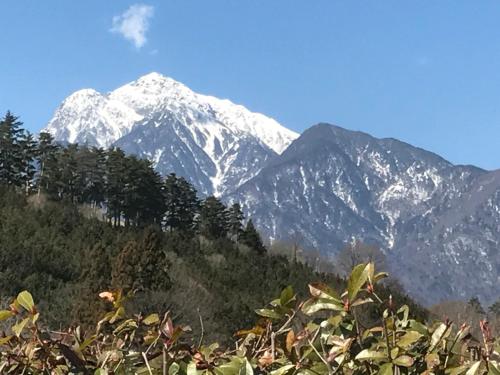 Alps Lodge & Spa