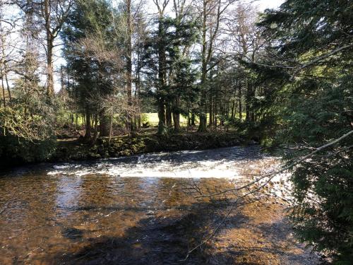 Pucks Glen Lodges - image 2