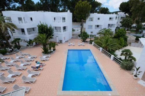 Piscina, azuLine Hotel Palmanova Garden in Mallorca