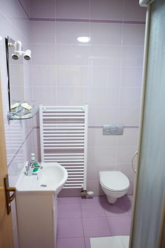 Pansion Budimir - image 6