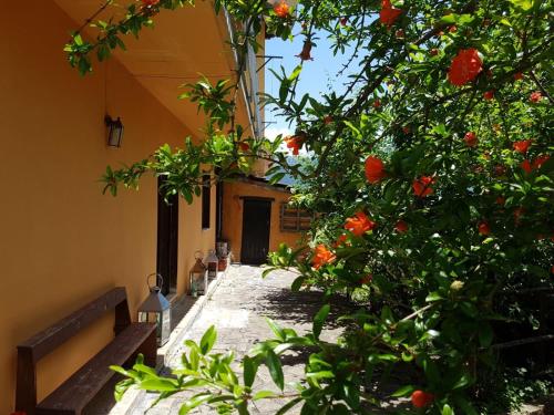 Casa Bellavista in Viggianello