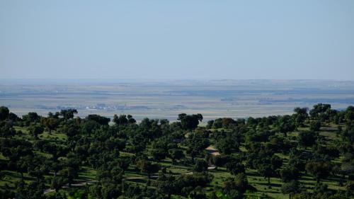 El Carmen Fresa