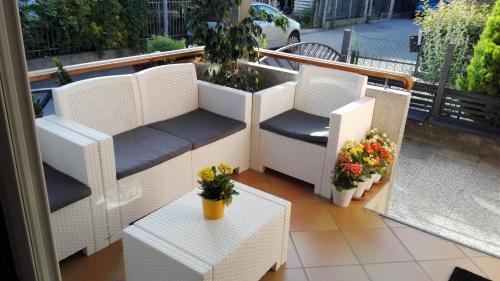 Hotel Cesari 3