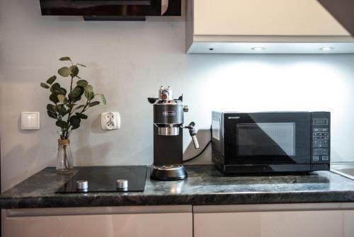 Gimnazjalna 5 - Apartamenty i pokoje w Centrum Zakopanego - image 3