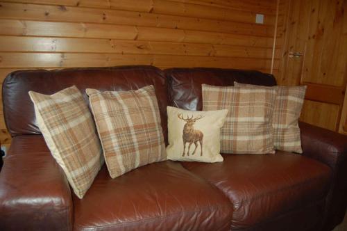 Luxury woodland Alder Lodge