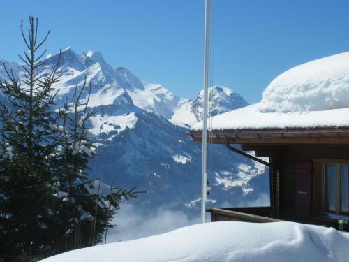 Chalet Blatti - image 4