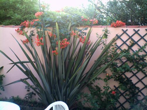 Hotel & Cantine De La Plage