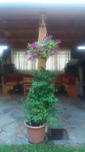 Casa Hostal Olga - Castilla y León
