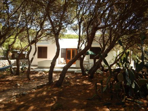Villetta con pineta a punta sottile gîte à louer Marettimo