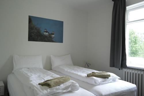 Eidavellir Apartments and Rooms in Egilstadir