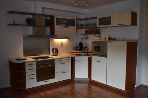 Apartment Mumlava falls in Ryzoviste